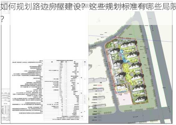 如何规划路边房屋建设？这些规划标准有哪些局限
？