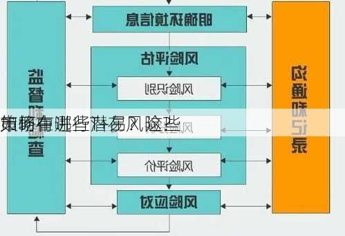 如何在
市场中进行T+易？这些
策略有哪些潜在风险？