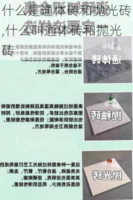 什么是通体砖和抛光砖,什么叫通体砖和抛光砖