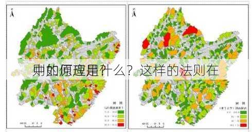 则的原理是什么？这样的法则在
中如何应用？