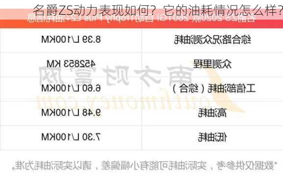 名爵ZS动力表现如何？它的油耗情况怎么样？