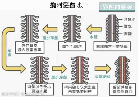 如何评估地产
的
度？这些
度对房产
有何影响？