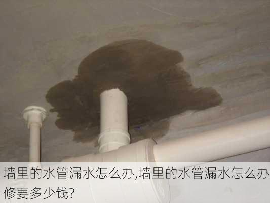 墙里的水管漏水怎么办,墙里的水管漏水怎么办修要多少钱?