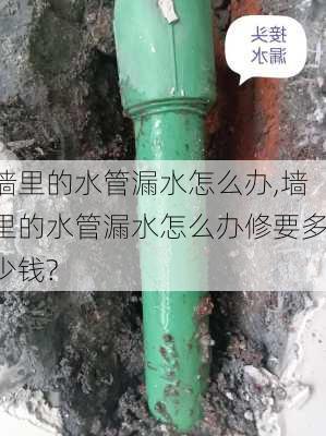 墙里的水管漏水怎么办,墙里的水管漏水怎么办修要多少钱?