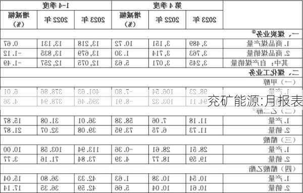 兖矿能源:月报表