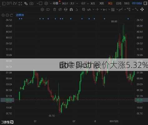 Bolt Biothe
uti
盘中异动 股价大涨5.32%