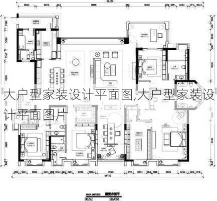 大户型家装设计平面图,大户型家装设计平面图片