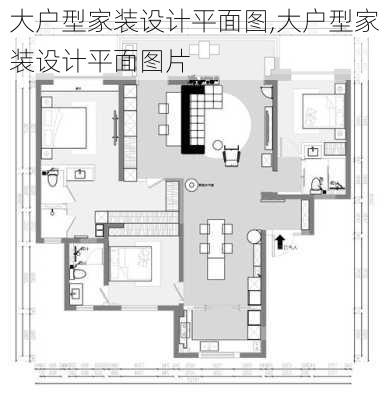 大户型家装设计平面图,大户型家装设计平面图片