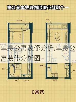 单身公寓装修分析,单身公寓装修分析图