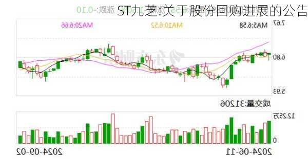 ST九芝:关于股份回购进展的公告