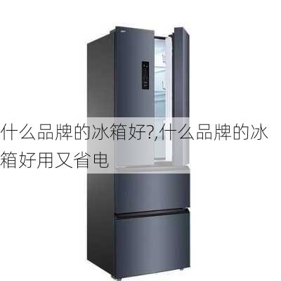 什么品牌的冰箱好?,什么品牌的冰箱好用又省电