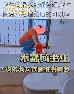 卫生间漏水处理免砸,卫生间漏水处理免砸的可以吗