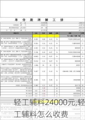 轻工辅料24000元,轻工辅料怎么收费