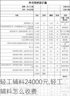 轻工辅料24000元,轻工辅料怎么收费