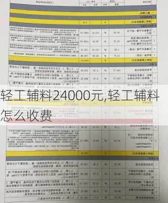 轻工辅料24000元,轻工辅料怎么收费