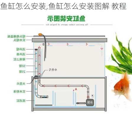 鱼缸怎么安装,鱼缸怎么安装图解 教程