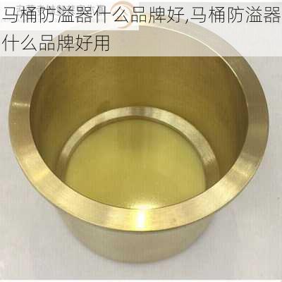 马桶防溢器什么品牌好,马桶防溢器什么品牌好用