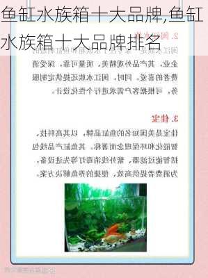 鱼缸水族箱十大品牌,鱼缸水族箱十大品牌排名