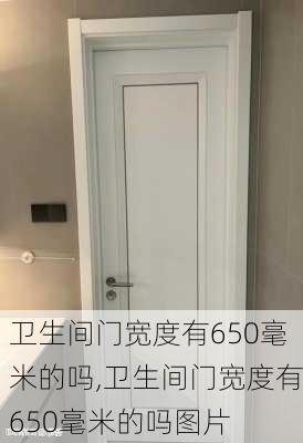 卫生间门宽度有650毫米的吗,卫生间门宽度有650毫米的吗图片