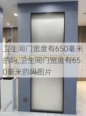 卫生间门宽度有650毫米的吗,卫生间门宽度有650毫米的吗图片