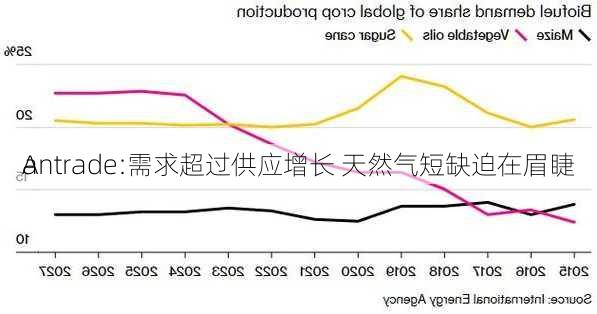 A
antrade:需求超过供应增长 天然气短缺迫在眉睫