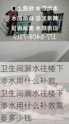 卫生间漏水往楼下渗水用什么补救,卫生间漏水往楼下渗水用什么补救需要多少钱