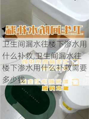 卫生间漏水往楼下渗水用什么补救,卫生间漏水往楼下渗水用什么补救需要多少钱