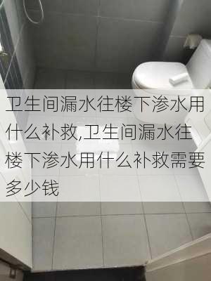 卫生间漏水往楼下渗水用什么补救,卫生间漏水往楼下渗水用什么补救需要多少钱