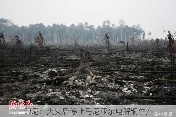 印尼：火灾后停止马尼亚尔电解铜生产