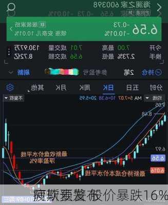 阿斯麦发布
疲软预警 股价暴跌16%