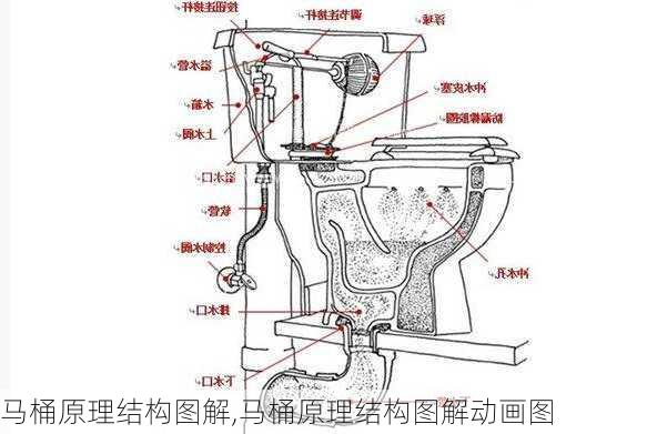 马桶原理结构图解,马桶原理结构图解动画图