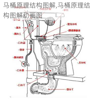 马桶原理结构图解,马桶原理结构图解动画图