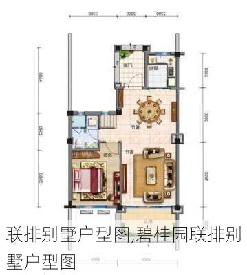 联排别墅户型图,碧桂园联排别墅户型图