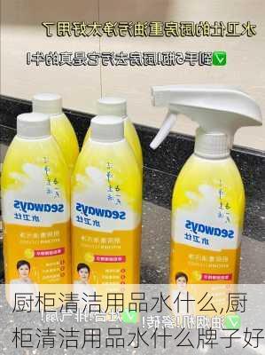 厨柜清洁用品水什么,厨柜清洁用品水什么牌子好