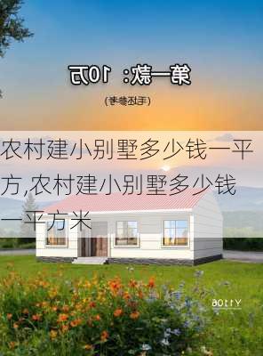 农村建小别墅多少钱一平方,农村建小别墅多少钱一平方米