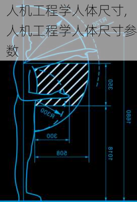 人机工程学人体尺寸,人机工程学人体尺寸参数