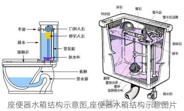 座便器水箱结构示意图,座便器水箱结构示意图片