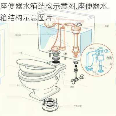 座便器水箱结构示意图,座便器水箱结构示意图片