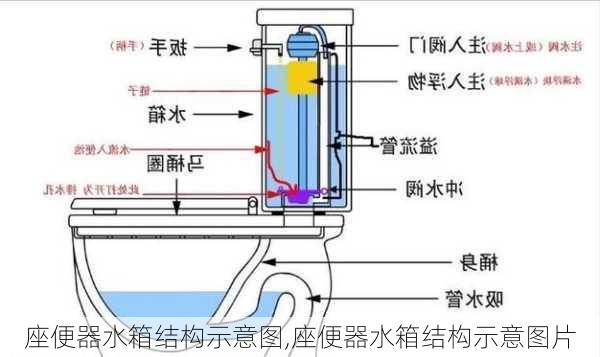 座便器水箱结构示意图,座便器水箱结构示意图片