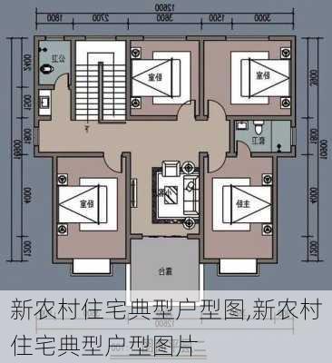 新农村住宅典型户型图,新农村住宅典型户型图片