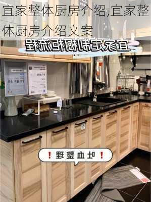 宜家整体厨房介绍,宜家整体厨房介绍文案