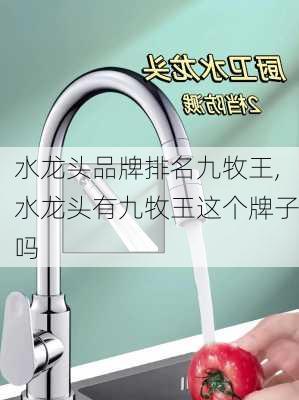 水龙头品牌排名九牧王,水龙头有九牧王这个牌子吗