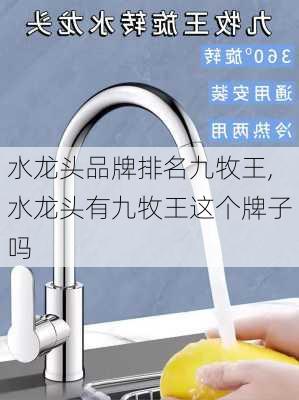 水龙头品牌排名九牧王,水龙头有九牧王这个牌子吗