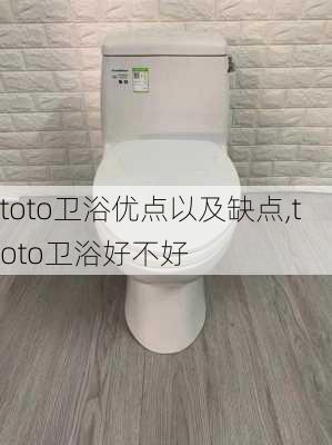 toto卫浴优点以及缺点,toto卫浴好不好