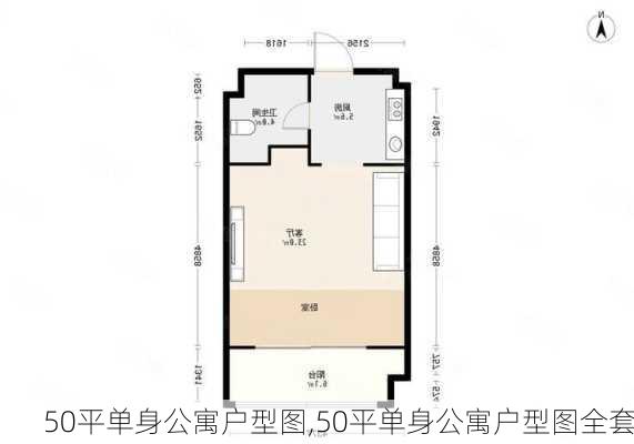 50平单身公寓户型图,50平单身公寓户型图全套