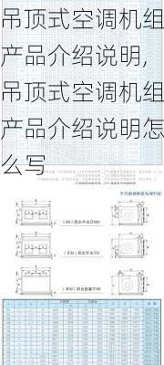 吊顶式空调机组产品介绍说明,吊顶式空调机组产品介绍说明怎么写