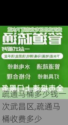 疏通马桶多少钱一次武昌区,疏通马桶收费多少