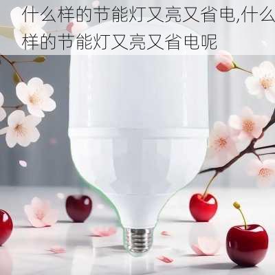 什么样的节能灯又亮又省电,什么样的节能灯又亮又省电呢