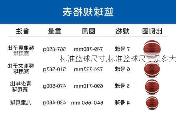 标准篮球尺寸,标准篮球尺寸是多大