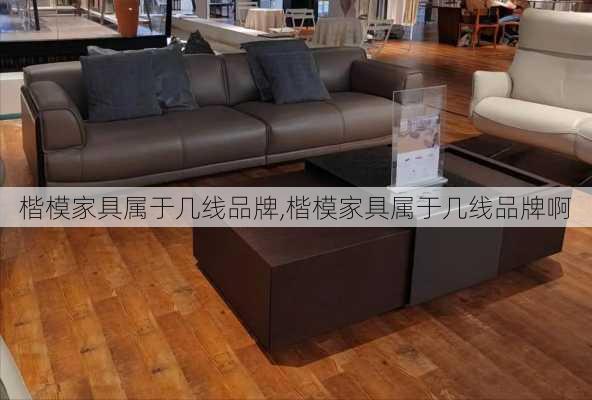 楷模家具属于几线品牌,楷模家具属于几线品牌啊